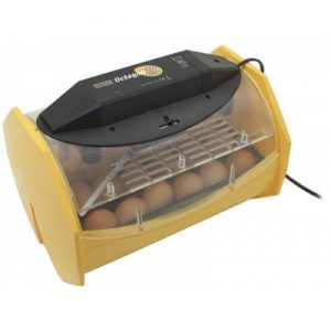 Brinsea Octagon 20 ECO broedmachine met keerautomaat