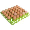 Ei tray / doos voor 30 eieren