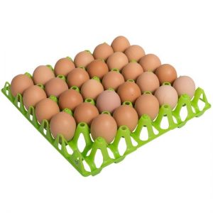 Ei tray / doos voor 30 eieren