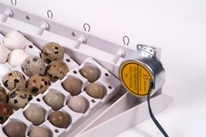Aut.keer.syst voor 42 eieren + 6 extra trays voor 120 kwarteleieren