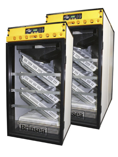 Brinsea Ova-Easy 380 Advance EX 4 Brinsea Ova-Easy 380 Advance EX 4