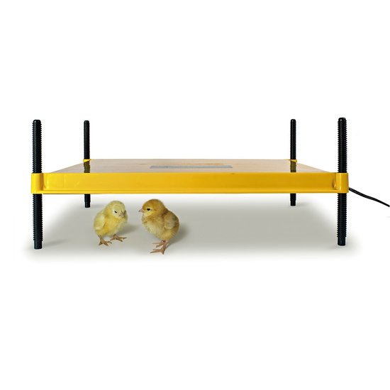 Ecoglow warmteplaat 40x50cm voor kuikens "Ecoglow" warmteplaat 40x50cm voor kuikens