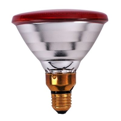 Interheat PAR infrarood lamp 100 Watt 