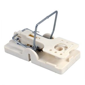 Muizenklem - extra zware uitvoering 5 stuks