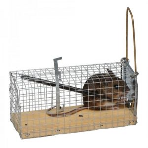 Muizenval vangkooi met houten bodem (2 stuks)