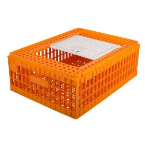 TRANSPORTKIST PLUIMVEE, ORANJE, 1 TOP DEUR, 77X58X29CM, HDPE