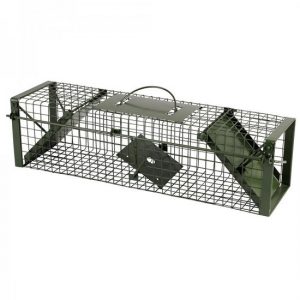 Vangkooi Marter 60 cm 2 ingangen groen