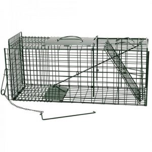 Vangkooi Ratten klein verzinkt + poedercoating groen