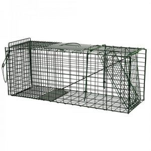 Vangkooi Ratten middel verzinkt + poedercoating groen