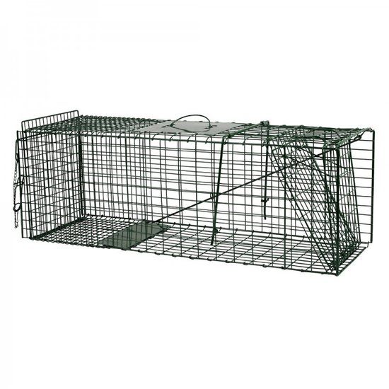 Katten vangooien