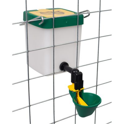 Drinkfles 0.5L naturel + drinkcup groot groen 