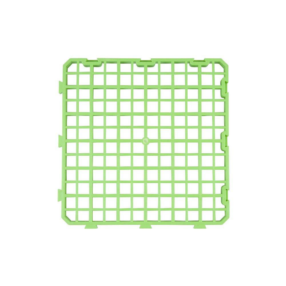kr25_groot_basesquare
